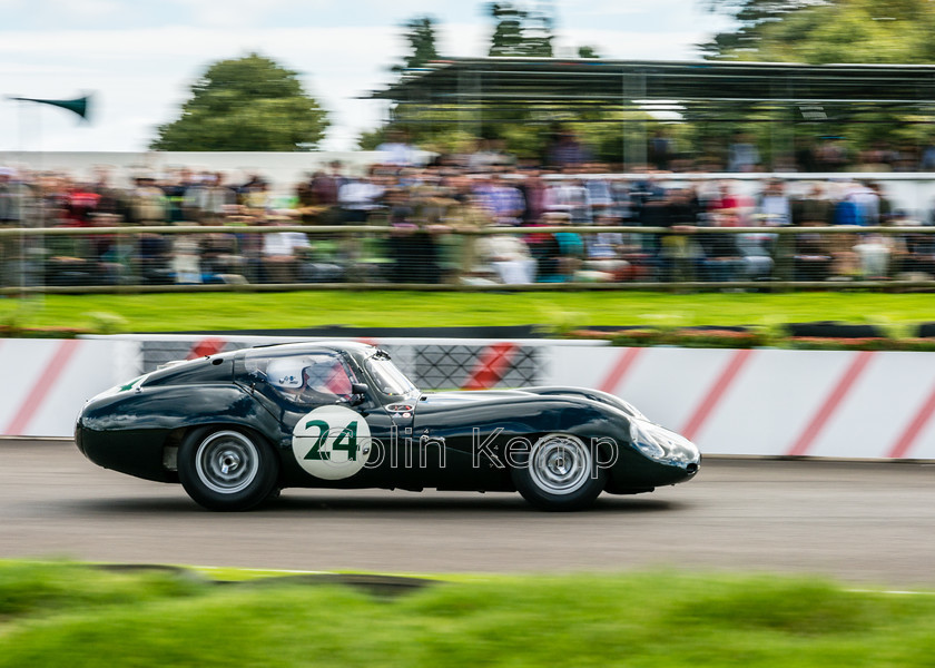 Jag E type British Racing Green Goodwood revival 9246 
 Jaguar E-type Vintage racing at Goodwood revival 2015 
 Keywords: Jaguar E Type, vintage racing, Goodwood Revival, 24, British Racing Green