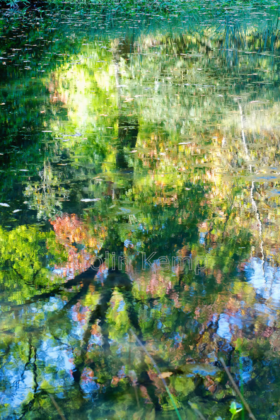 Stourhead Reflections 6791 V2 
 A quiet pool at Stourhead reflects the trees and blue sky, creating an impression of a Monet painting - prompting this photograph to be titled Monet at Stourhead? 
 Keywords: Fine srt, impressionist, photography, Monet like art, abstract, stourhead. reflections in water