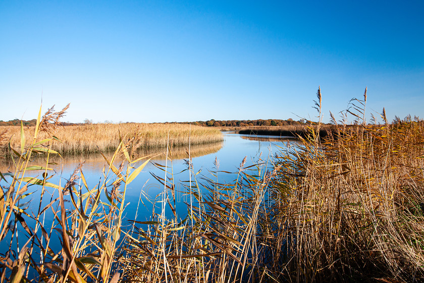 Snape Riverside View with big Suffolk sky 
 A placid river view, perfect stillness framed by reeds on a November afternoon. 
 Keywords: Snape, Maltings, Suffolk, big sky, placid river, blue sky, English countryside