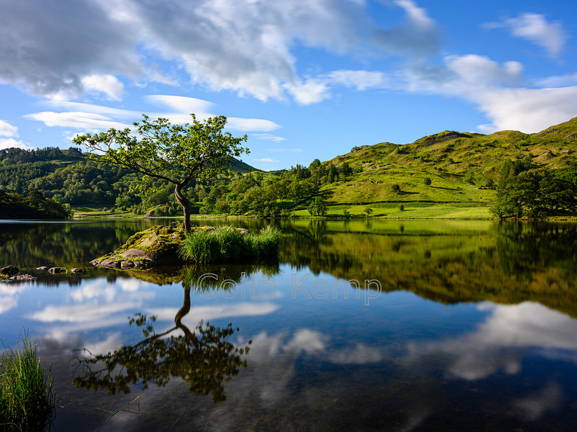 Lone Tree Rydal Water 
 A beautiful lone tree atop a tiny island, mirrored in Rydal Water, Lake District, England 
 Keywords: Lake District, lone tree, reflection, water, Lakeland, landscape, english countryside, Cumbria, Rydal, Rydal Water, peaceful scene, inner peace